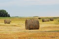 Autumn field and straw piles Royalty Free Stock Photo