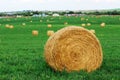 Autumn field and straw piles Royalty Free Stock Photo