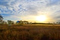 Autumn field