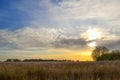 Autumn field