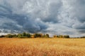 Autumn fields with crops lit by the sun under thunderclouds