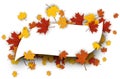 Autumn figured background with maple leaves.