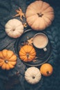 Autumn fla tlay with cup of coffee, pumpkins and cuddle blanket