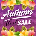 Autumn flash sale vivid color