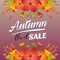 Autumn flash sale vivid color fall season plant