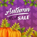 Autumn flash sale vivid color with pumpkin