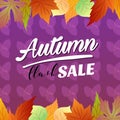 Autumn flash sale vivid color seasonal leaves