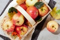 autumn flat lay with apples, basket and autumn leaves