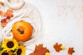 Autumn flat lay background with pumpkin , sweater and golden sunflowers