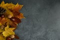 Autumn flat lay composition with copy space, for Thanksgiving or Halloween.