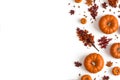 Autumn flat lay composition. Dried leaves, pumpkins, flowers, rowan berries on white background.