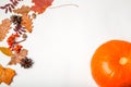 Autumn flat lay, copy space, top view. Autumn leaves and bright pumpkin on a white background