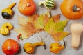 autumn flat lay on grey background with pumpkins