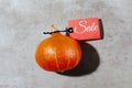 Autumn flat lay on grey background with pumpkins