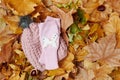 Autumn flat lay with leaves, chestnuts , hat and scarf