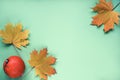 Autumn flat lay with maple leaves and orange pumpkin on green background. Top view, flat lay, copy space Royalty Free Stock Photo