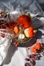 Autumn flat lay photo concept. Decorative pumpkins