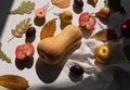 Autumn flat lay with pumpkin apples pears plums and fall leaves with linen table cloth on white background harsh shadows