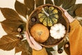 Autumn flat lay with women`s hands holding basket with decorative pumpkins. Against autumn leaves and chestnuts.