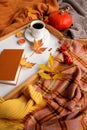 Autumn flat in the Scandinavian hugg style with hot tea, coffee, yellow leaves, cozy knitwear, a book, a pumpkin and gloves,