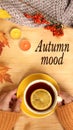 Autumn flatland in the style of a Scandinavian hugg with hot tea, coffee, yellow leaves, cozy knitwear, a book, a pumpkin and