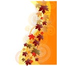 Autumn floral background