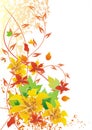 Autumn floral background Royalty Free Stock Photo