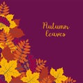 Autumn floral background with colorful silhouettes of tree leaves on purple background, design elements for the fall season banner Royalty Free Stock Photo