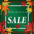 Autumn floral background of Hello Autumn Sale text with berries and fall leaves frame Royalty Free Stock Photo