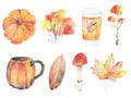 Autumn floral background. set of autumn nature elements of hand drawn. Royalty Free Stock Photo