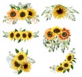 Autumn floral bouquets of sunflowers and greenery set, isolated flower arrangements