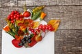 Autumn floral composition. Plants viburnum rowan berries dogrose fresh flowers colorful leaves in mail envelope on wooden