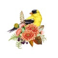 Autumn floral decor with goldfinch. Watercolor illustration. Hand drawn bright garden bird with fall seasonal flowers