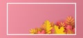 Autumn floral paper cut background with leaves and frame pastel colorful design vector illustration 3d style Royalty Free Stock Photo