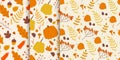 Autumn floral pattern with forest mushroom, cute fall leaves and acorns, nature flowers Royalty Free Stock Photo