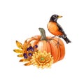 Autumn floral pumpkin rustic decor. Watercolor illustration. Hand drawn cozy autumn vintage style decor with robin bird