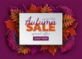 Autumn floral sale banner with paper cut frame, tree maple leaf