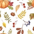 Autumn floral seamless pattern with hand painted watercolor pumpkin, fall foliage, berries on white background. Thanksgiving day Royalty Free Stock Photo