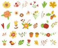 Autumn floral set Colorful floral collection yellow terracotta flowers leaves berries Autumn floral clipart illustration