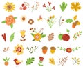 Autumn floral set Colorful floral collection yellow terracotta flowers leaves berries Autumn floral clipart Vector illustration Royalty Free Stock Photo