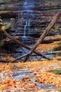 Autumn Flow Royalty Free Stock Photo