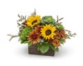 Mixed Autumn Flower Arrangement with Sunflowers, Kale, and Mums in a Rustic Wood Box - Florist Designed Floral Arrangement