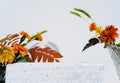 Autumn flower podium or display for product presentation Royalty Free Stock Photo