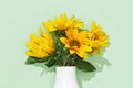 Autumn flower of sunflower in white vase on mint colored background. Natural bright yellow blossom with green leaves Royalty Free Stock Photo