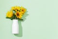 Autumn flower of sunflower in white vase on mint colored background. Natural bright yellow blossom with green leaves. Royalty Free Stock Photo