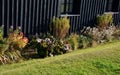 Autumn flowerbed with perennials at the cottage. style grandmother`s garden english type. lawn, stone wall, wood paneling, windows Royalty Free Stock Photo