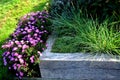 autumn flowerbed with perennials and grasses in a square Royalty Free Stock Photo