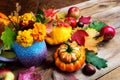 Autumn flowers, apples and pumpkins seasonal arrangement Royalty Free Stock Photo