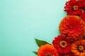 Autumn flowers arrangements made of sunflowers, leaves and flowers on mint background , top view. Creative composition Royalty Free Stock Photo