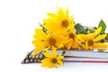 Autumn flowers with book and pencils Royalty Free Stock Photo